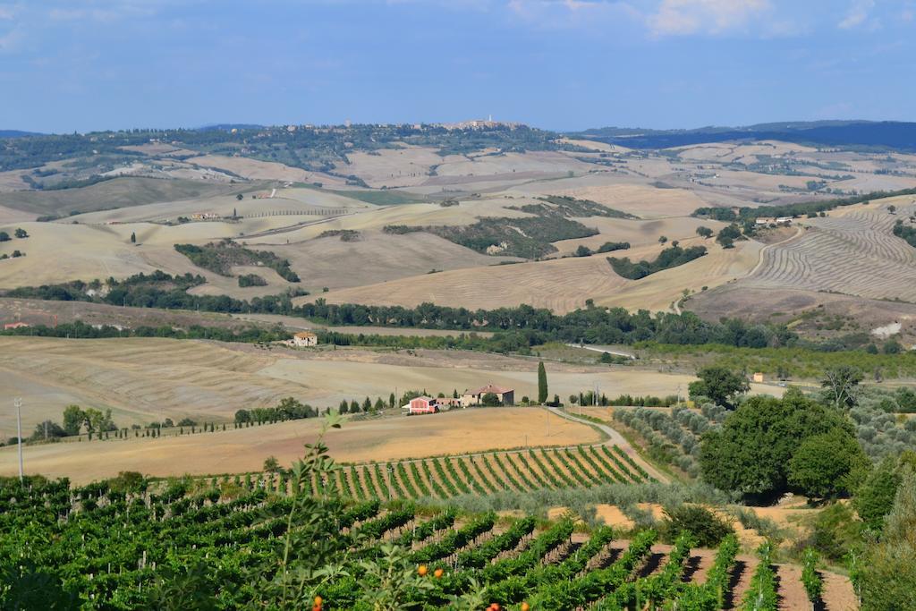 Agriturismo La Disperata Villa San Quirico dʼOrcia Habitación foto